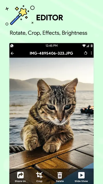 Gallery screenshot 3