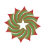 PranaVital logo