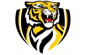Tigerify logo