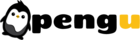Pengu logo