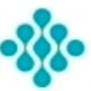 SkinKraft logo