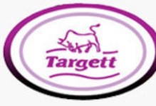 Contemporary Targett logo