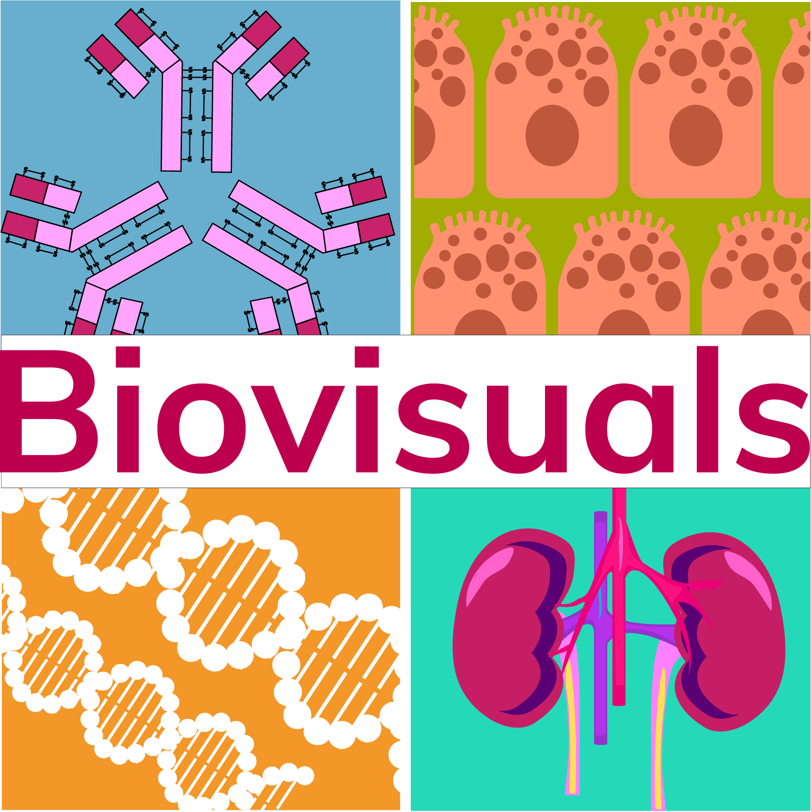 Biovisuals logo