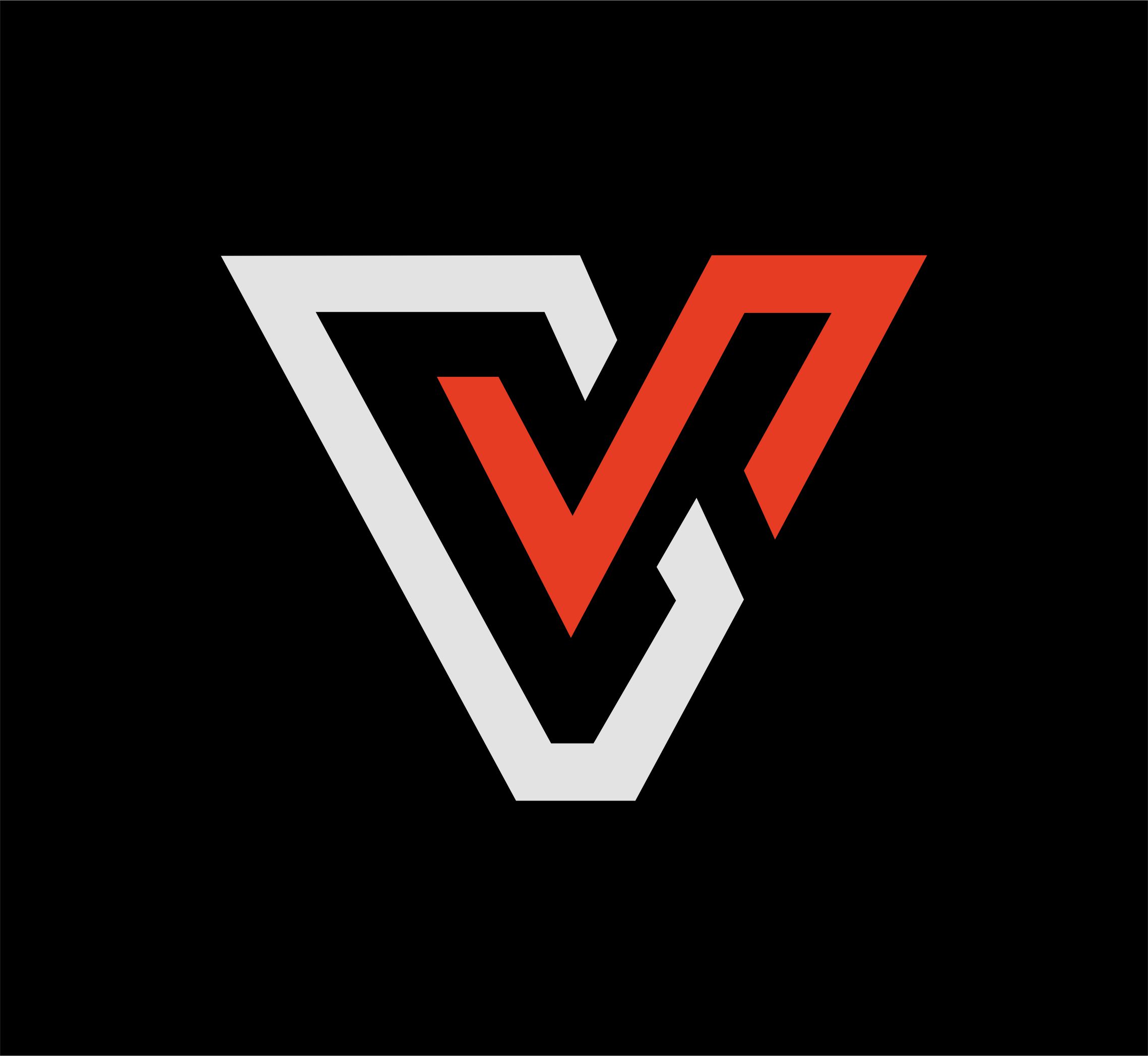 Vishwas CA logo