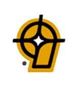 nine star logo