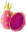Exotic Dragon Fruit logo