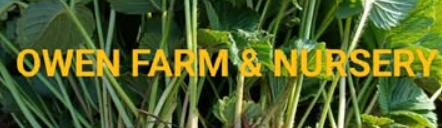 Owen Farm & Nursery logo