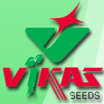 Vikas Hybrid Seeds logo