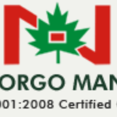 Nico Orgo logo