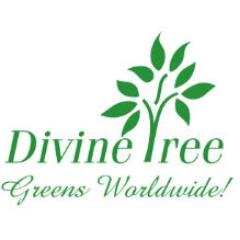 Divine Tree logo
