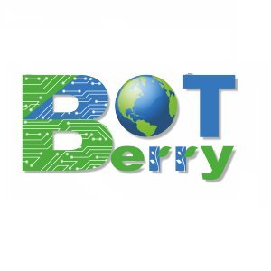 Botberry logo