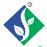 Sheena Seeds logo