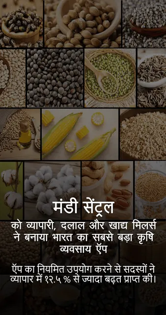Mandi Central: Grains & Cotton screenshot 3