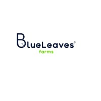 BlueLeaves Farms logo