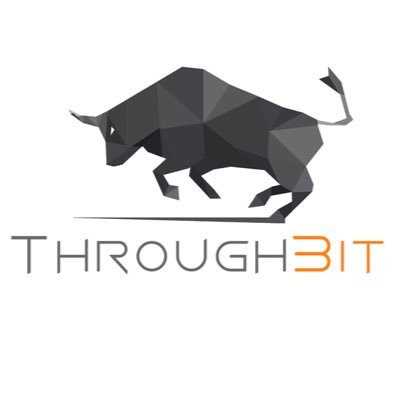 ThroughBit logo