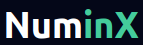 NuminX logo