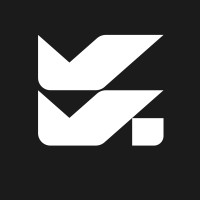 VoxLoom logo