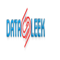 DataSleek logo