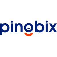 Pingbix logo