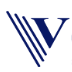 Verbalyze logo