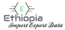 Ethiopian Importer logo