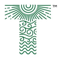 Tensor Dynamics logo