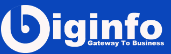 BigInfo logo