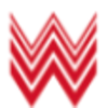 Wysetek logo