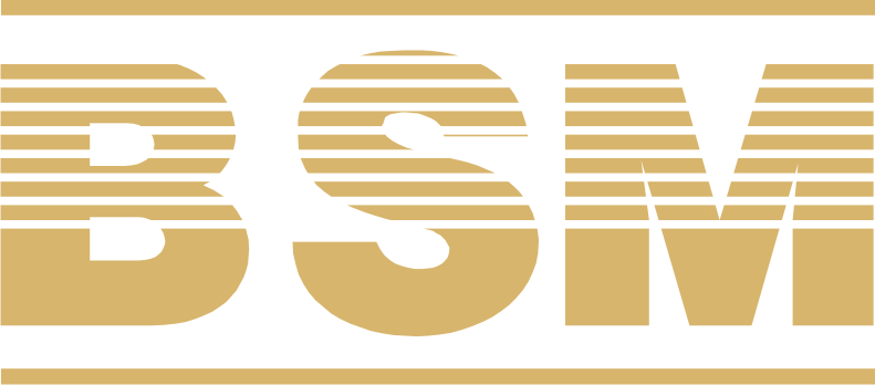 B.S. Mehra Group logo