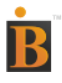 Bhavin Industries logo