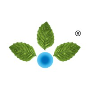 Anupam Rasayan logo
