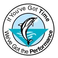 Dolphin Polyfill logo