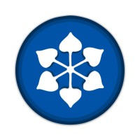 DCM Shriram Industries logo