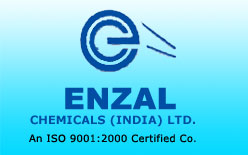 Ensal logo