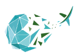 S4E logo