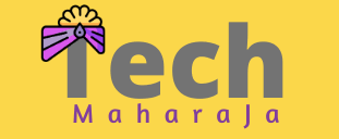 TechMaharaja logo
