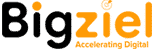 bigziel logo