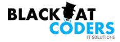 Black Hat Coders logo
