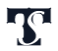 TechSimPlus logo