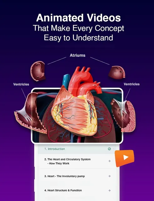 HomeRevise | All-in-1 Learning screenshot 2