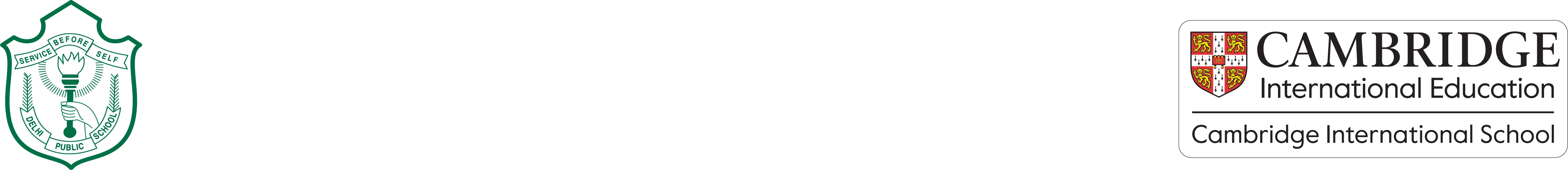 Delhi Public School Nacharam logo