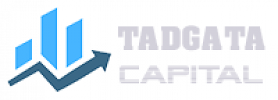 Tadgata Solutions logo