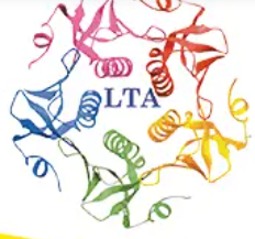 Let's Talk Academy logo