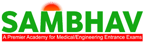 Sambhav Academy logo