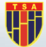The Strategy Academy logo