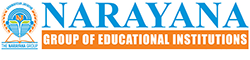Narayana group logo