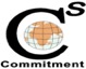 Cubic systems logo