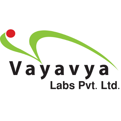Vayavya Labs logo
