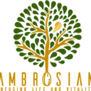 Ambrosian Resources logo