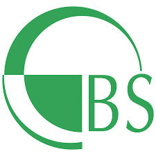 Balaji Systems logo